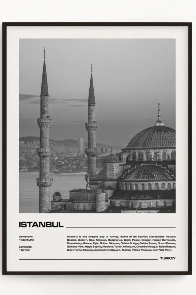 Ou trouver poster vintage voyage Turquie Istanbul photo Bosphore 