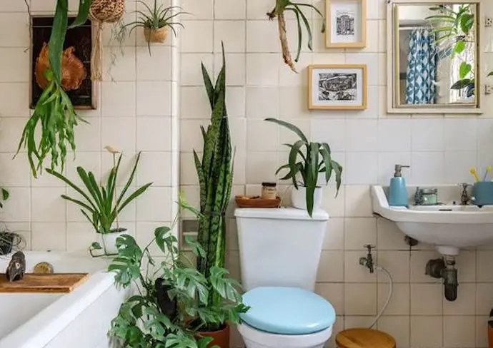 20 idee relooker salle de bain baignoire plante lavabo décoration intérieure