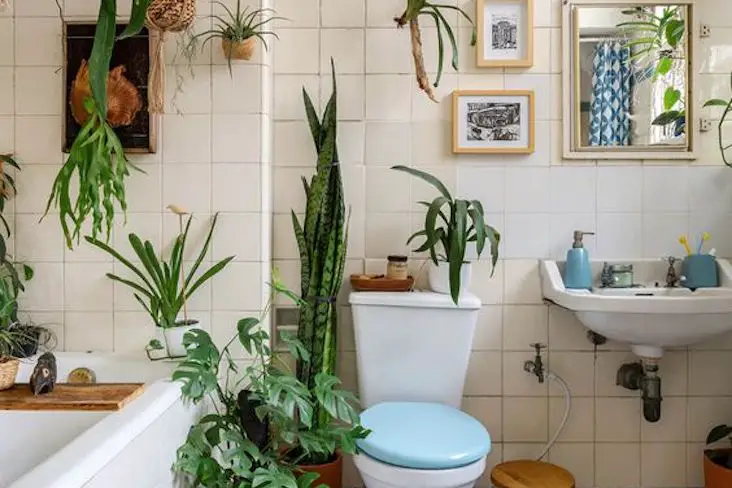 20 idee relooker salle de bain baignoire plante lavabo décoration intérieure