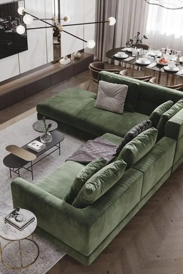 canape couleur organique exemple salon familial moderne vert