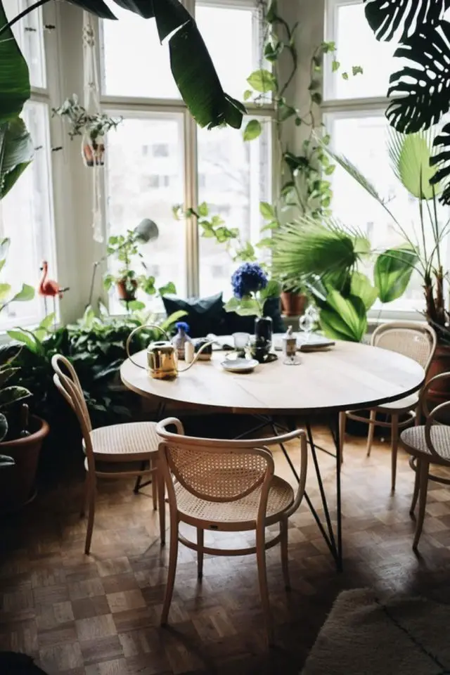 exemple decoration moderne plante interieure salle à manger coin repas table ronde  bois chaise cannage