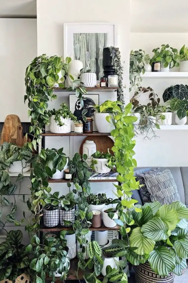 interieur moderne deco plantes exemple pan de mur étagères maximalisme salon cache-pots blanc