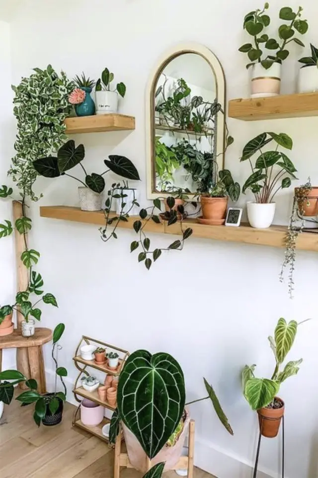 interieur moderne deco plantes exemple étagère en bois clair petites plantes vertes miroir ovale
