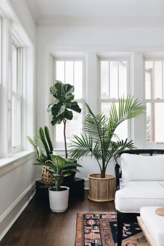 interieur moderne deco plantes exemple angle du salon côté du canapé grande plante cache-pot tendance