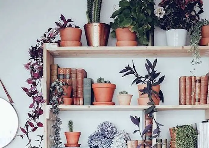 video deco plantes vertes exemple étagère bibliothèque pot de fleurs miroir livres