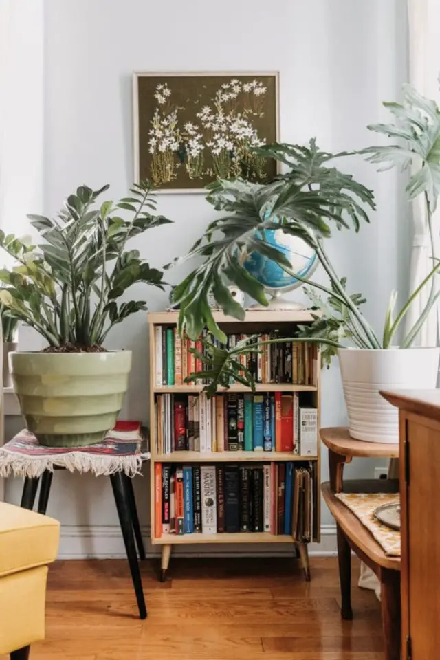 decoration etagere livres plantes petit meuble salon séjour rangement plante intérieur