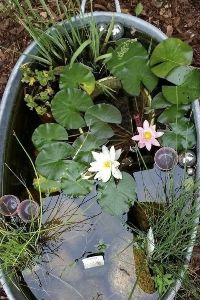 exemple diy recup jardin bassine vintage transformée en bassin