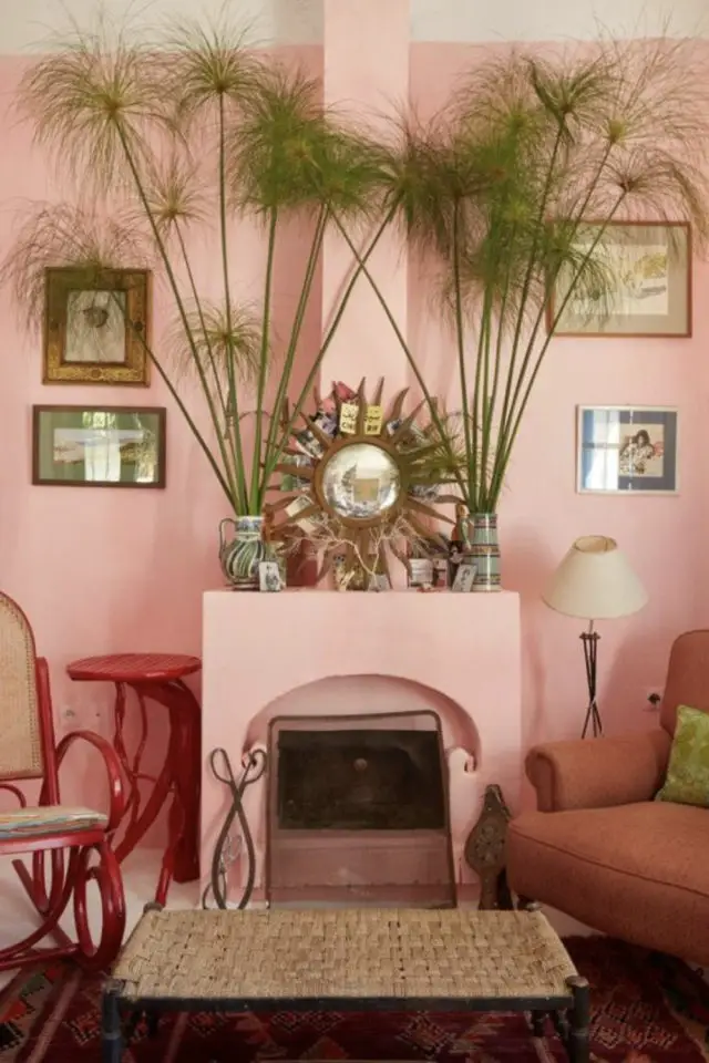 peinture mur rose plantes vertes cheminée grande plantes intérieur original
