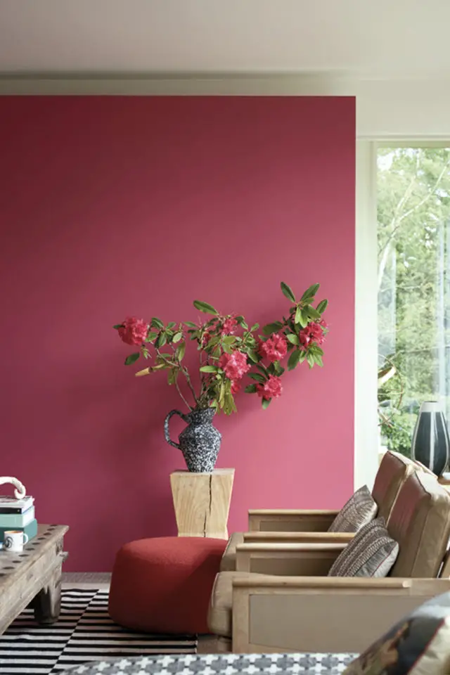 peinture mur rose plantes vertes uni framboise élégant détail