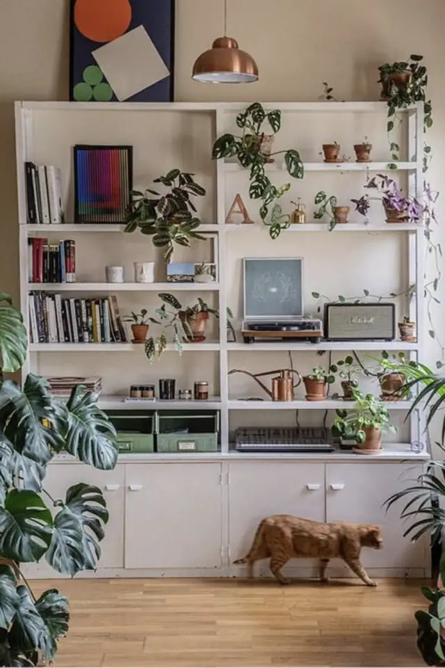 petite plante pour meuble liste bibliothèque étagère exemple moderne style nature intérieur urban jungle