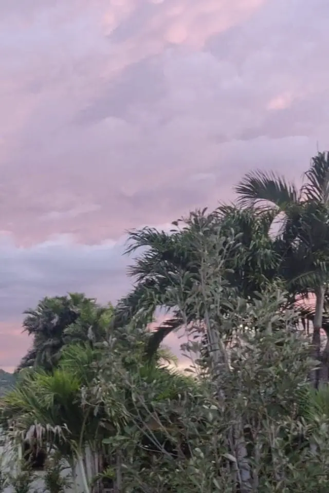 pourquoi voyager thailande ciel nuage couleur cocotier paysage