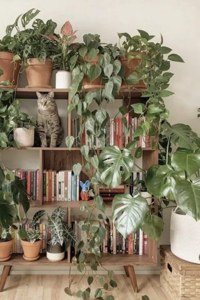 quelle variete plantes dessus meuble bibliothèque en bois urban jungle mix