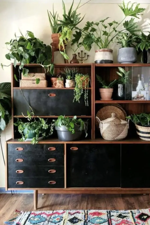 quelle variete plantes dessus meuble vaisselier vintage repeint noir et bois