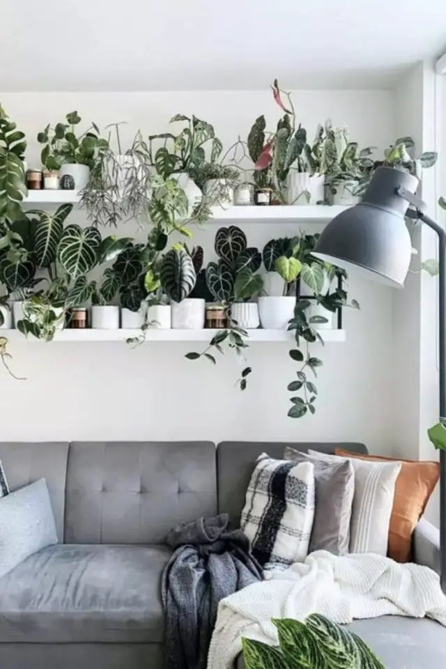 quelle variete plantes dessus meuble étagère au dessus du canapé gris ambiance moderne