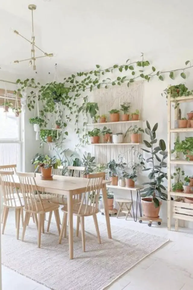 quelle variete plantes dessus meuble salle à manger plantes en pot grimpantes