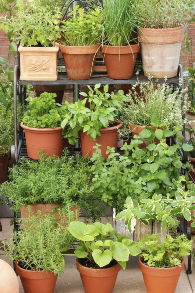 terrasse plante verte pot de fleur étagère en métal escaliers simple
