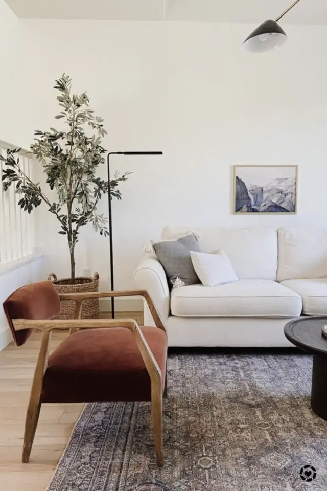 decor salon avec canape blanc sobre élégant lumineux fauteuil vintage bois