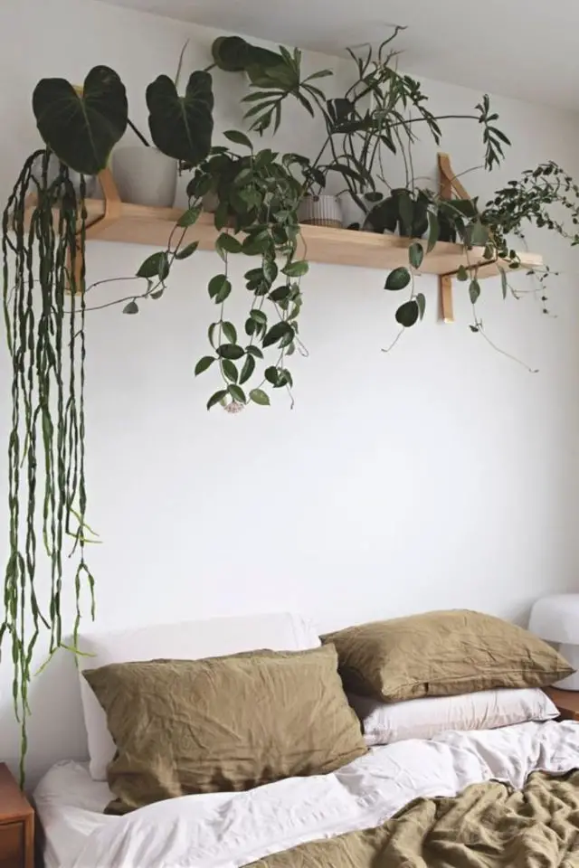 detail deco chambre adulte étagère au dessus du lit avec plantes tombantes