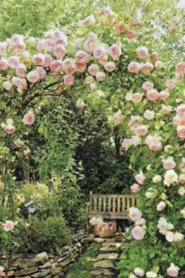 exemple deco jardin arche fleur fleur rose banc ombre été repos