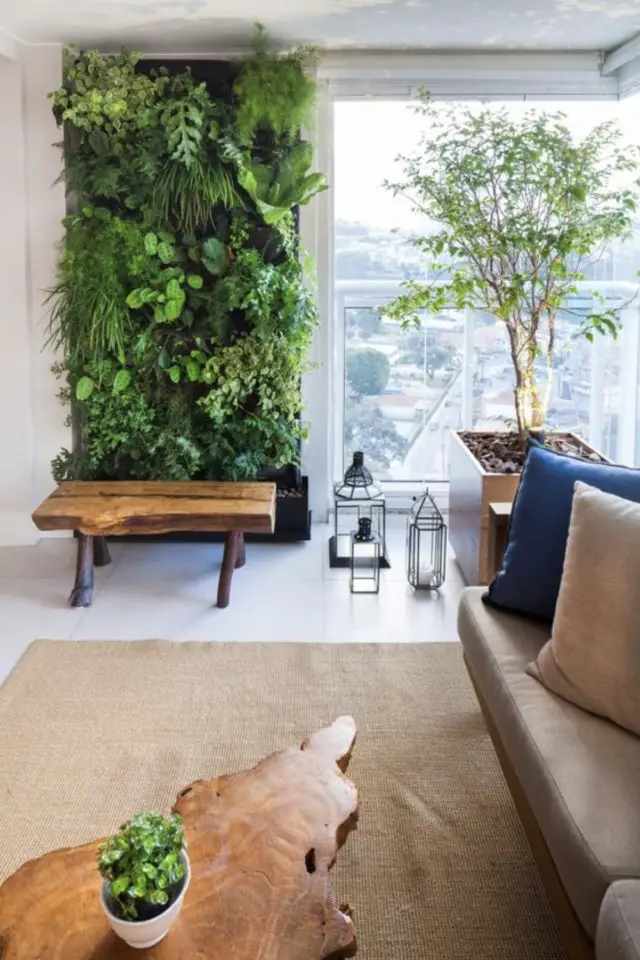 exemple jardin vertical interieur salon appartement pan de mur plantes vertes