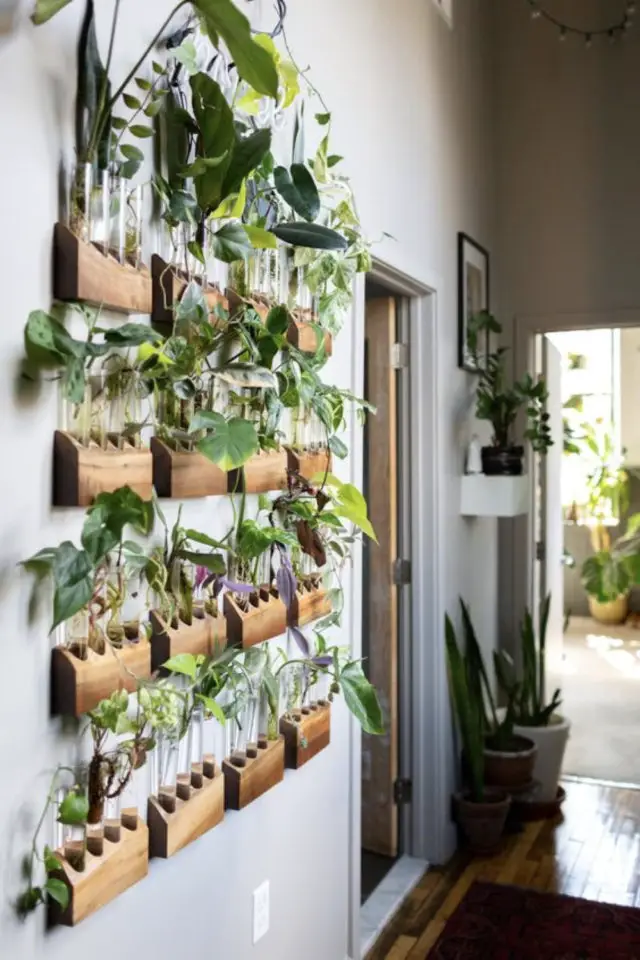 exemple jardin vertical interieur stations de bouturage accrochées au mur couloir