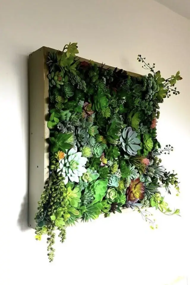 exemple jardin vertical interieur coffre mural plantes grasses et succulentes