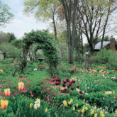 idee deco arche jardin plantes fleurs variétés accessoires