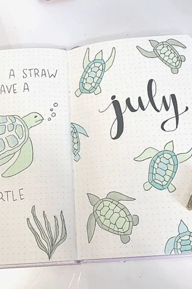 bullet journal illustration juillet dessin de tortue pastel crayons de couleur