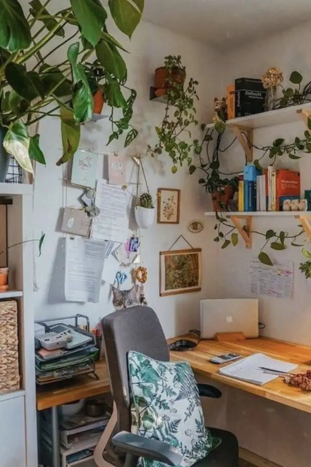 appartement etudiant bureau pratique étagère murale décoration mur plante grimpante petit espace de travail