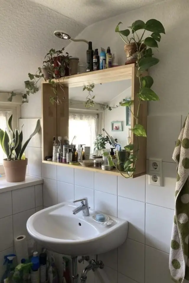 appartement etudiant petite salle de bain exemple miroir dessus meuble vasque micro étagère plante verte