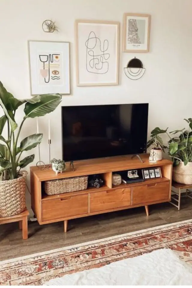 decor mur meuble tele exemple mid century modern vintage plante bois cadre