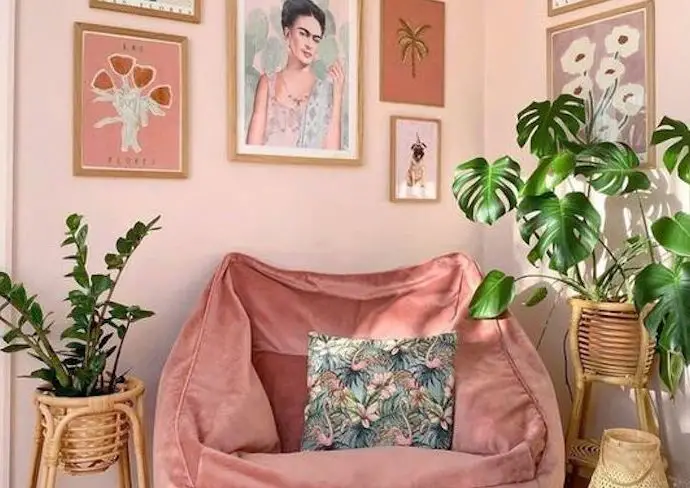 decoration legere et moderne inspiration intérieur fauteuil cadre tableau illustrations couleur plantes