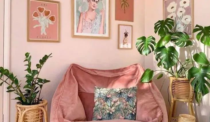 decoration legere et moderne inspiration intérieur fauteuil cadre tableau illustrations couleur plantes