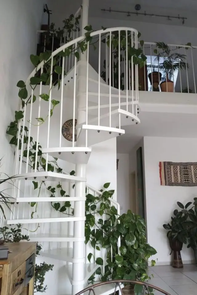 decorer escalier avec plantes exemple blanc plantes grimpantes élégant