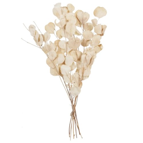 salon objet deco moderne Bouquet plantes séchées H60