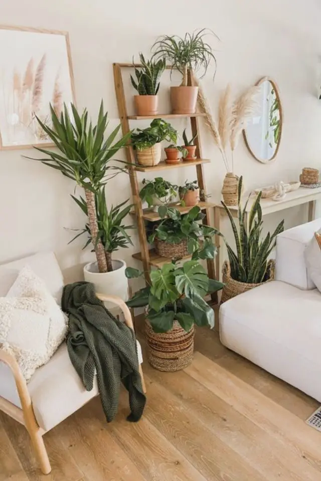 salon sejour detail decoration plantes étagère en bois style échelle pratique gain de place déco