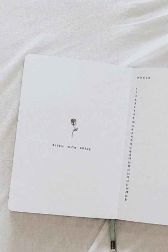 exemple illustration bullet journal minimal doodle petite rose unique page de garde
