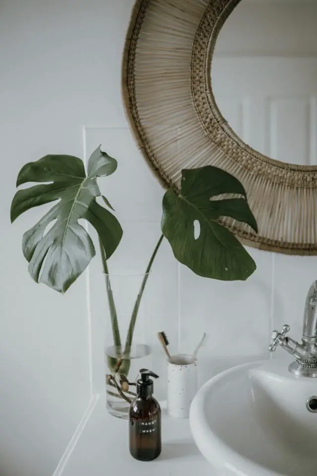 salle de bain cosy et chaleureuse plante monstera en vase feuillage miroir fibre naturelle tressée