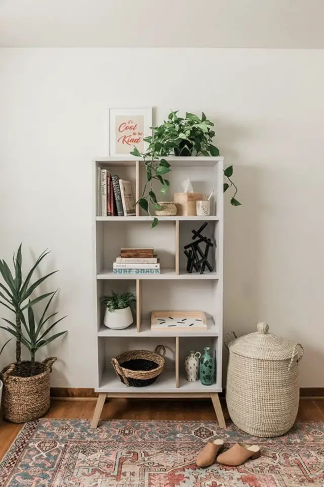 exemple deco petite bibliotheque blanche simple pas cher moderne plante déco sympa