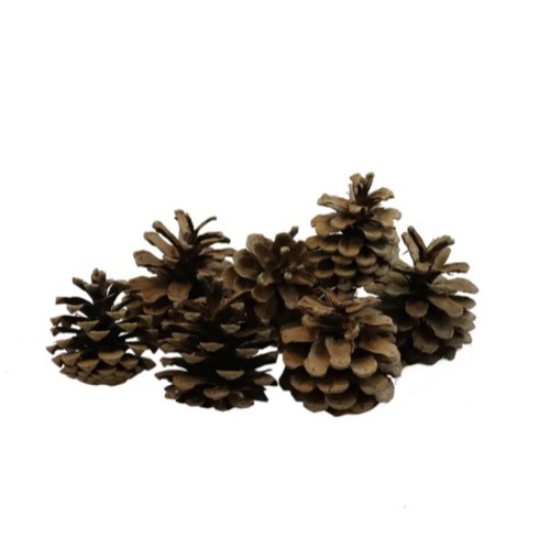 objets decoratifs noel dessus buffet pas cher Pommes de pin 500gr naturel en filet