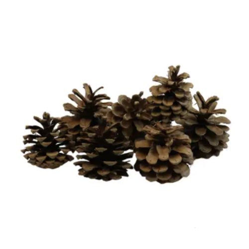 ou acheter deco sapin scandi tendance Pommes de pin 500gr naturel en filet