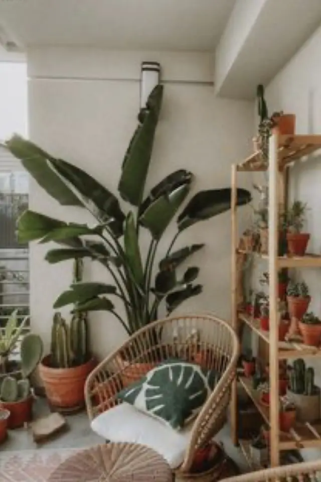 interieur plantes deco hiver bien etre variétés tropicale balcon inspiration exemple