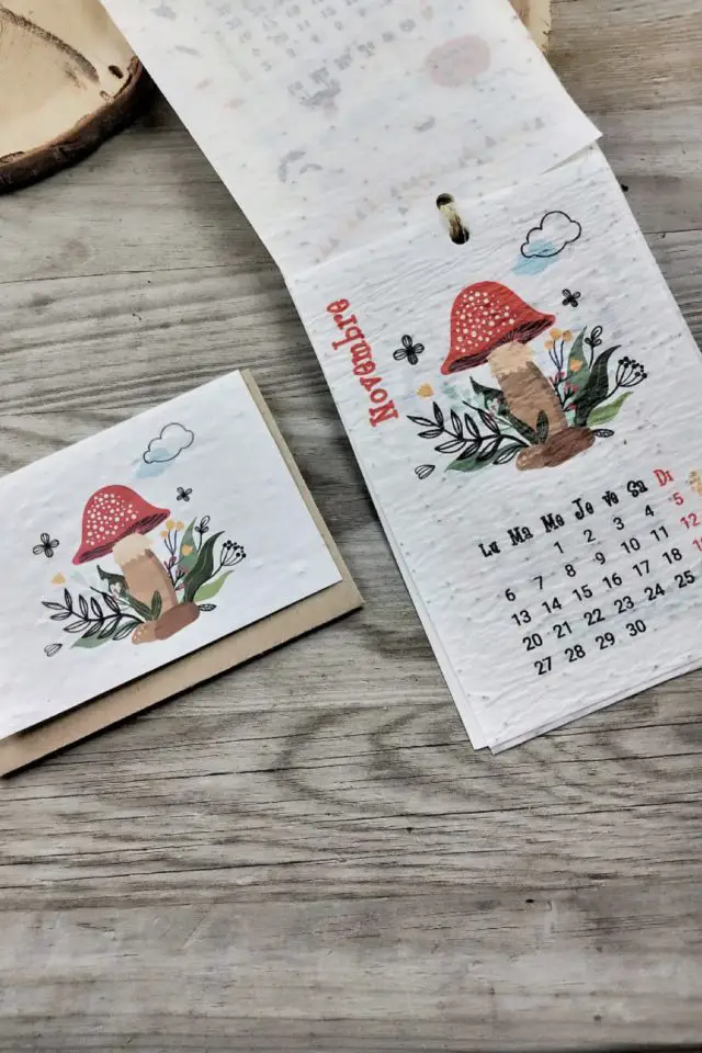 plus jolis calendrier 2023 calendrier à planter illustration nature 