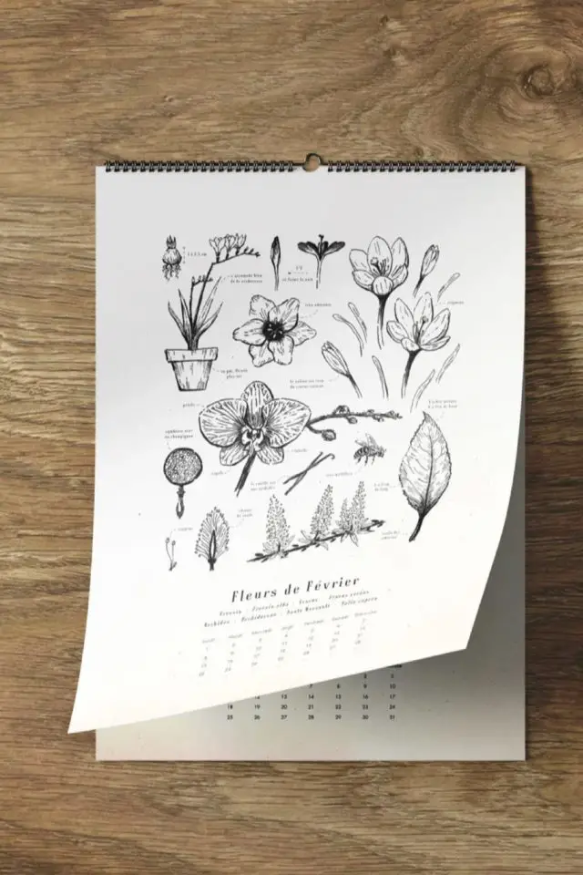plus jolis calendrier 2023 style gravure botanique fleur de saison illustration