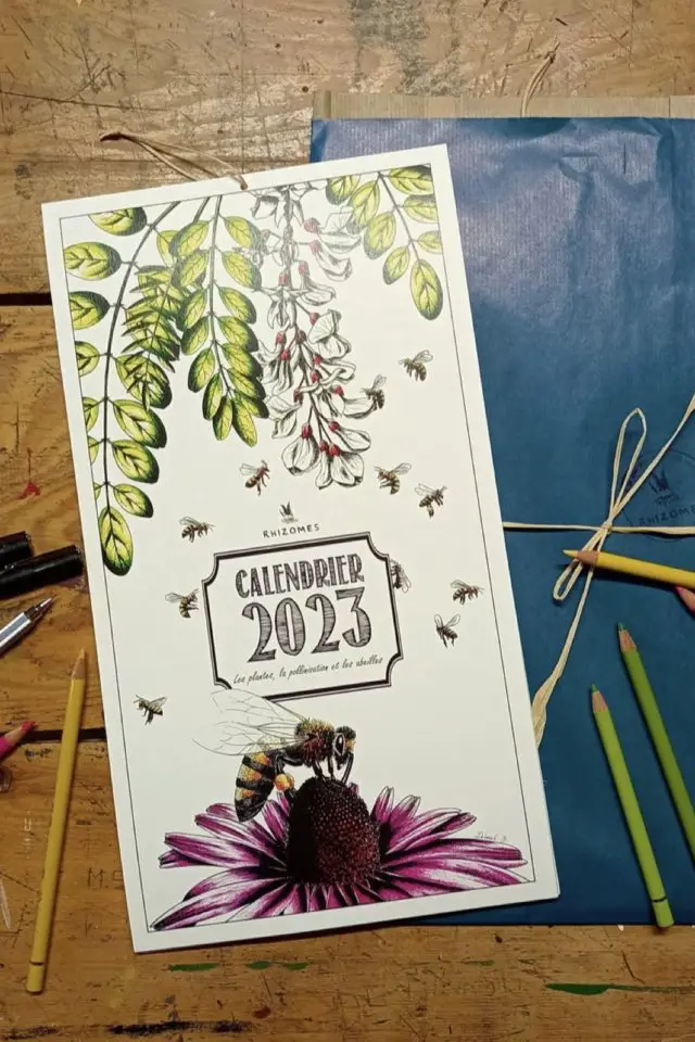 plus jolis calendrier 2023 coloré illustré moderne plantes et nature