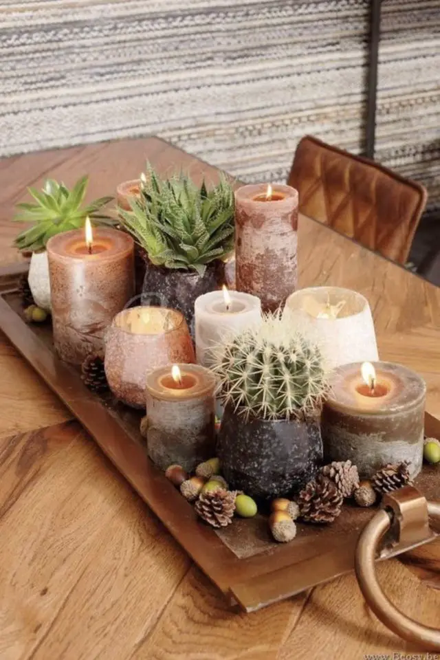 centre de table idees DIY bougie cactus plantes grasses plateau