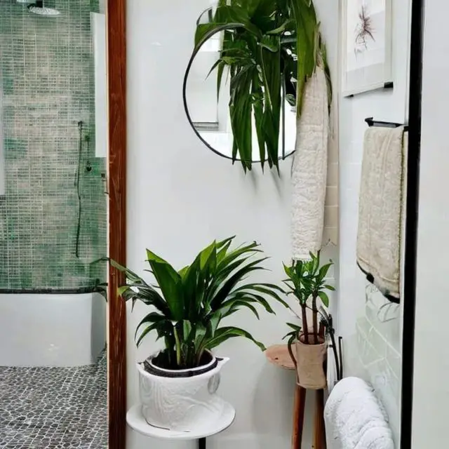 deco salle de bain plantes ia exemple carrelage et peinture blanche moderne petit espace