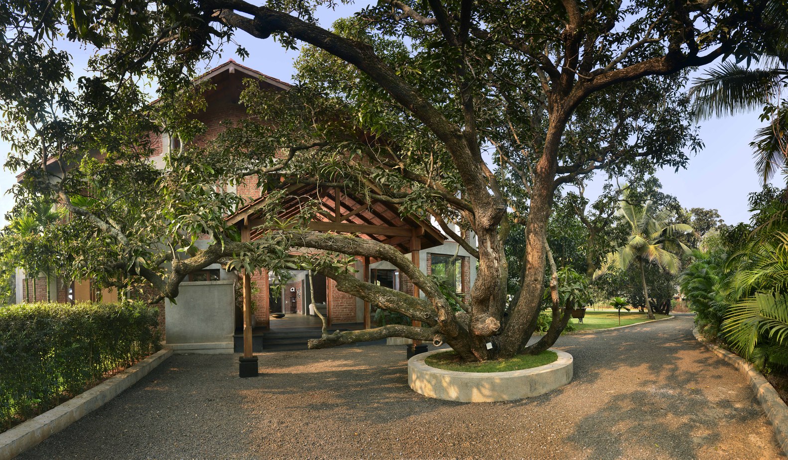 architecture sobre minimale materiaux bruts allée vers la maison arbre végétation ne faire qu'un avec la nature