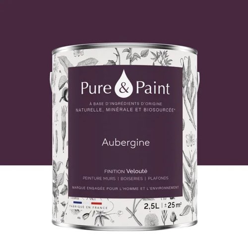 revetement mur couleur prune leroy merlin Peinture aubergine mur, plafond et boiserie