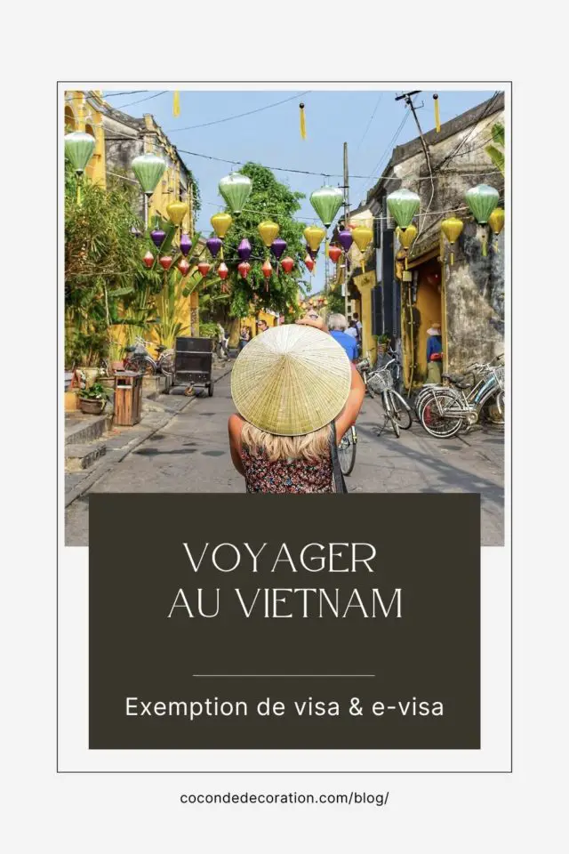 voyager en Asie informations visas en ligne un mois vietnam en français facile prix documents à fournir